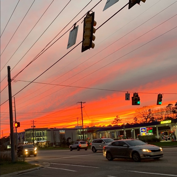 Meet your Posher, Lily - Picture 1 of 1